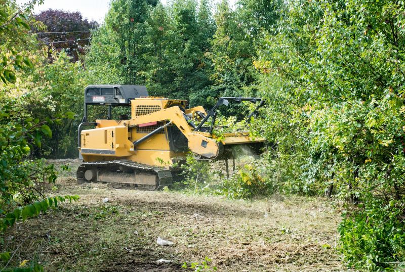Forestry Cleaning