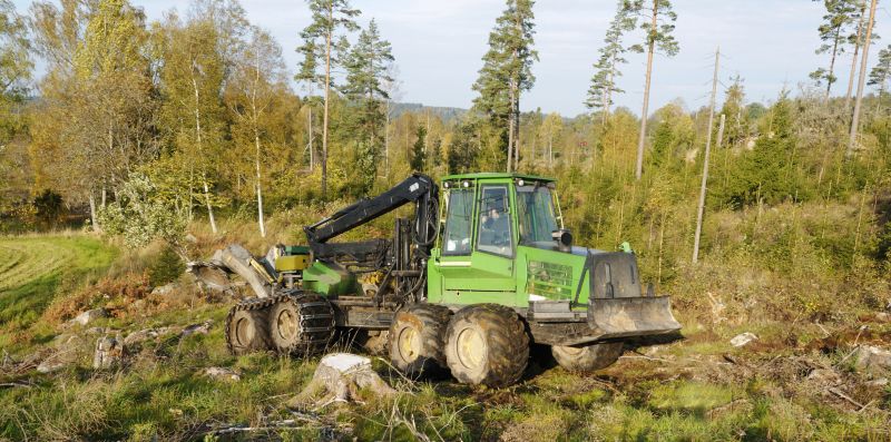 Forestry Cleaning