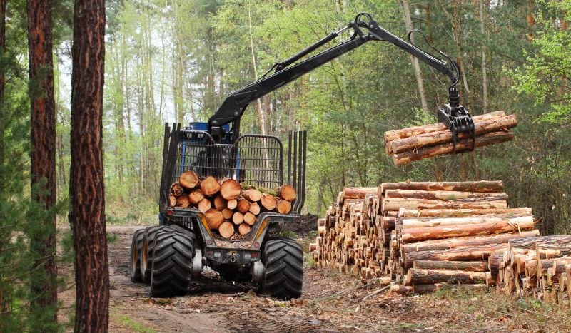 Forestry Equipment in Action