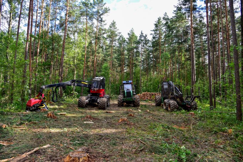 Products For Forestry Cleanings in use